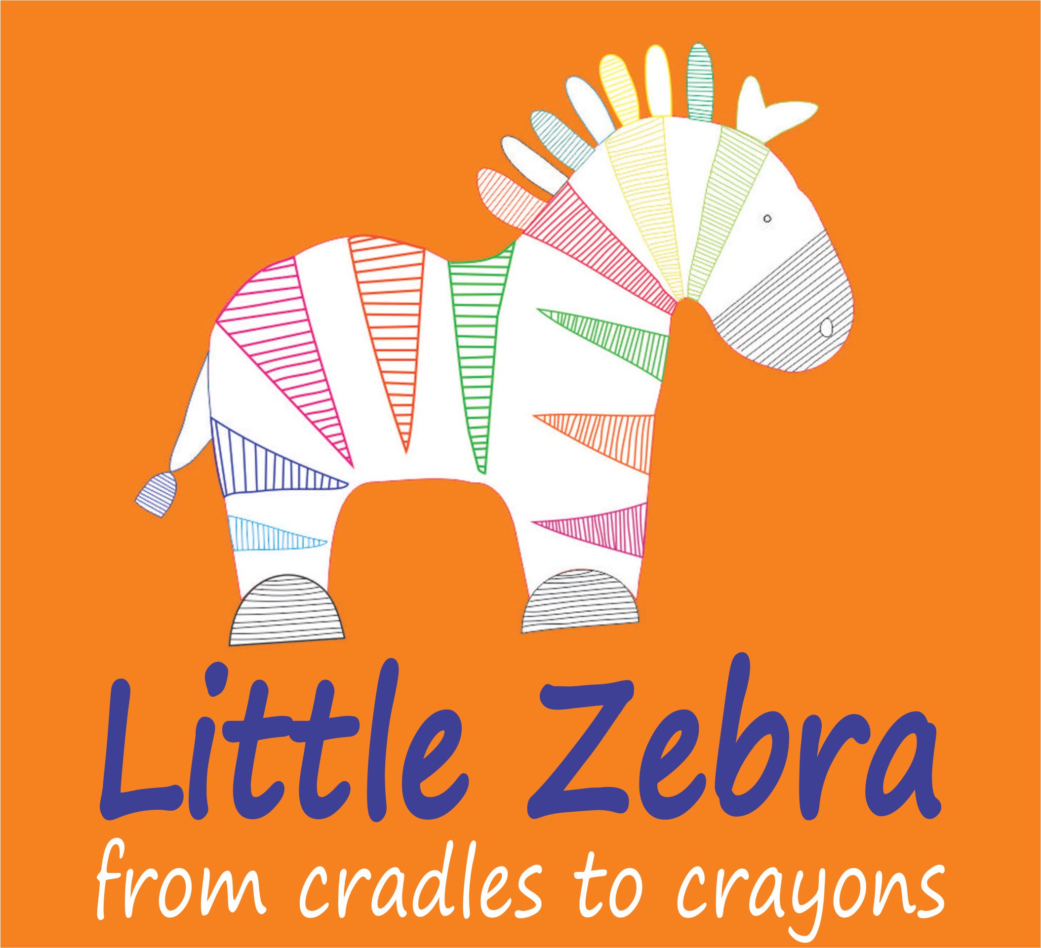 Little Zebra Education Primary School For Children